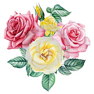 Roses. Hand drawn watercolor painting on white background. bouquet of pink and yellow flowers