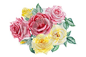 Roses. Hand drawn watercolor painting on white background. bouquet of pink and yellow flowers