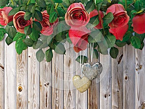 Roses and a hearts on wooden board, Valentines Day holiday background