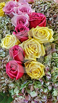 Roses with hydrangeas