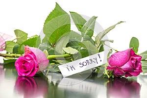 Roses with I'm sorry message