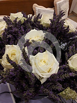 Roses and lavanda