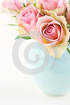 Roses in a light blue vase on cream beige shabby chic background