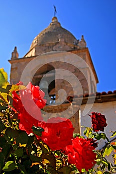 Roses at Mission Carmel