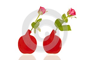 Roses in modern vases