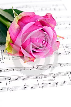 Roses and music.