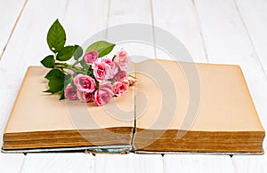 Roses on an old book on white wooden background. flowers