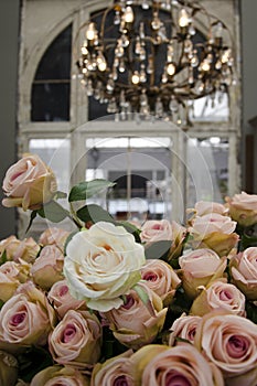 Roses in an old building