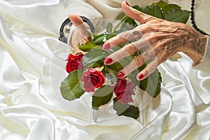 Roses in old woman well-groomed hands.