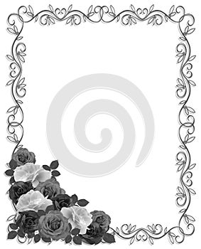 Roses Ornamental Border Black white