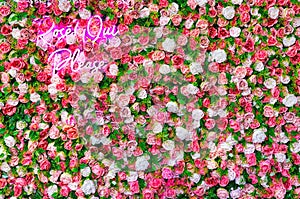 Roses, Oui please. Roses, yes please. Background made of artificial roses with pink neon sign