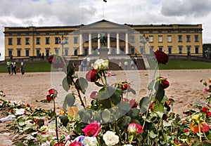 Roses outside the norwegian castle