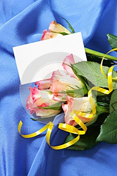Roses over blue silk background