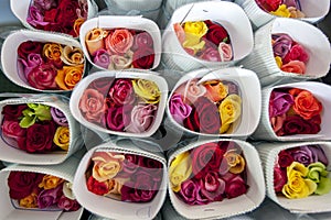 Roses packed ready for export at the Hacienda La Compania Roses Plantation near Cayambe in Ecuador.