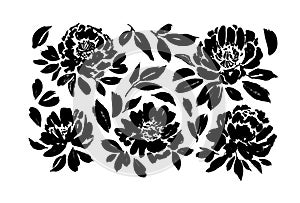 Roses, peonies, chrysanthemums hand drawn vector set. Black brush paint flower silhouettes with leaves. photo