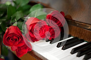 Roses on piano