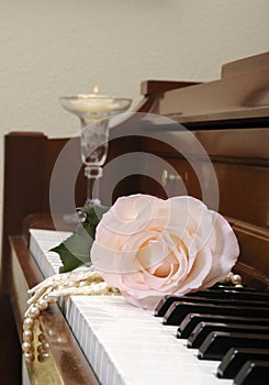 Roses on a piano