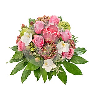 Roses pink exotic flower Protea orchid hortensia