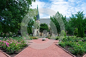 Roses and Plants at the Merrick Rose Garden in Evanston Illinois