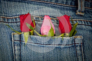 Roses in pocket