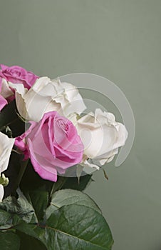 Roses posy over green background