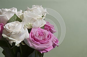 Roses posy over green background