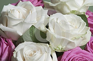 Roses posy over green background