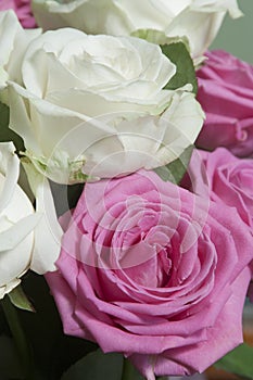 Roses posy over green background