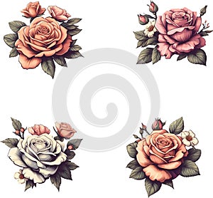 Roses, Roses Watercolor, Roses Vector Illustration 4 Pictures per Set