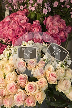 Roses for sale in Paris flower shop