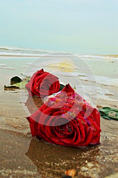 Roses on the sand, symbol