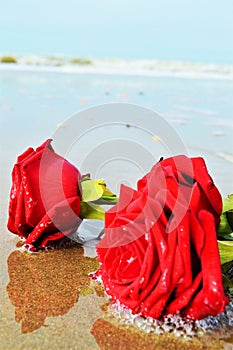 Roses and the sea, romantic symbols