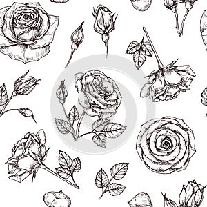 Roses seamless pattern. Hand drawn rose floral textere. Flower fabric repeat vector vintage background photo