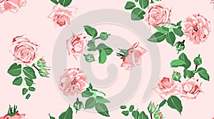 Roses Seamless Pattern for Wedding Decoration.