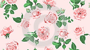 Roses Seamless Pattern for Wedding Decoration