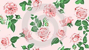 Roses Seamless Pattern for Wedding Decoration.