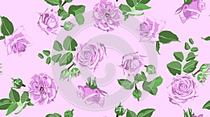 Roses Seamless Pattern for Wedding Decoration