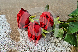 Roses on the seashore, symbols