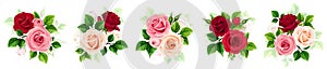 Roses. Set of vector floral design elements with red, pink, and white rose flowers