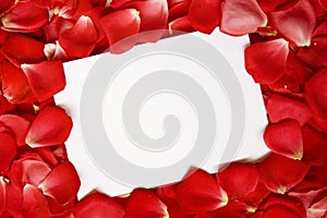 Roses sign background