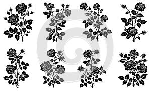 Roses silhouettes collection. Rose motifs black graphics, blossom flowers shapes stencils illustration