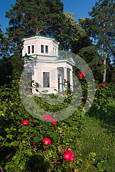 Roses in Sofiyivka Park
