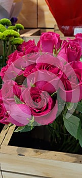 Roses symbolize love and are commonly used flowers for Valentine\'s Day