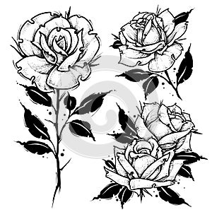 Roses tattoo. Dot work vector illustration