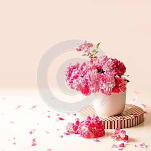 roses and tea cup served for breakfast on plain background, copy space for text, valentine& x27;s day, wedding or anniversary