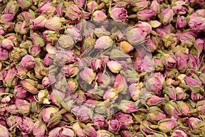 Roses for tea. Species, ingredients tea flowers