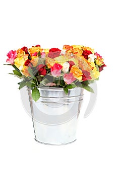 Roses in a tinny bucket