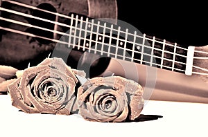 Roses and ukulele. Vine tone.