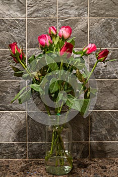 Roses in vase., Valentines day.