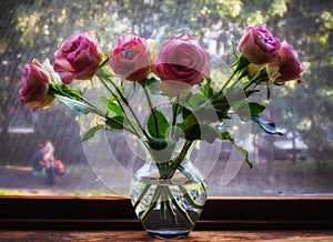 Roses in a vase on the window. Summer still life